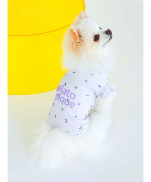 GELATO PIQUE CAT＆DOG(GELATO PIQUE CAT＆DOG)/【CAT&DOG】【販路限定商品】小花柄COOLプルオーバー/img01