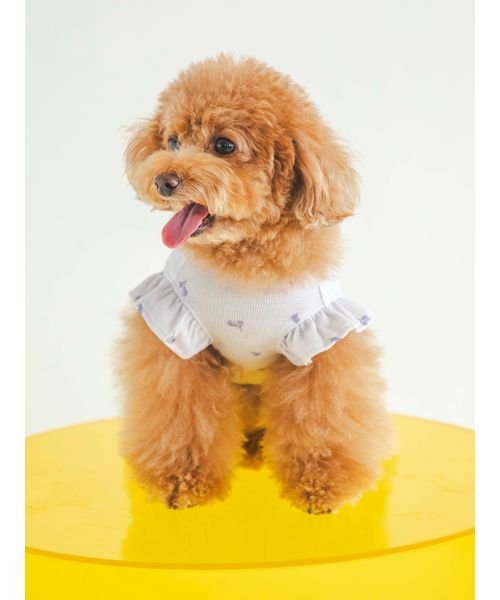 GELATO PIQUE CAT＆DOG(GELATO PIQUE CAT＆DOG)/【CAT&DOG】【販路限定商品】小花柄COOLプルオーバー/img03