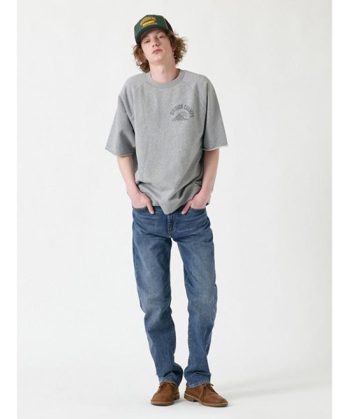 Levi's(リーバイス)/カットオフ ラグラン Tシャツ グレーSURF CREW/img12