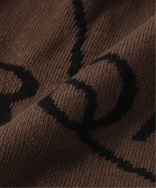 JOURNAL STANDARD(ジャーナルスタンダード)/ROA / ロア Logo Beanie RBMW219YA04/img08