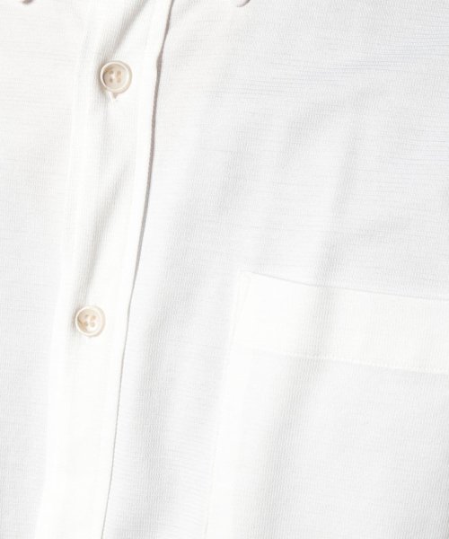 EDWIN(EDWIN)/#デニスラBUTTON－DOWN    SHIRTS WHITE/img06