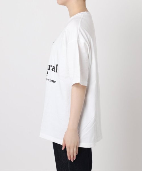 journal standard  L'essage (ジャーナルスタンダード　レサージュ)/《予約》TORREYロゴTシャツ/img20