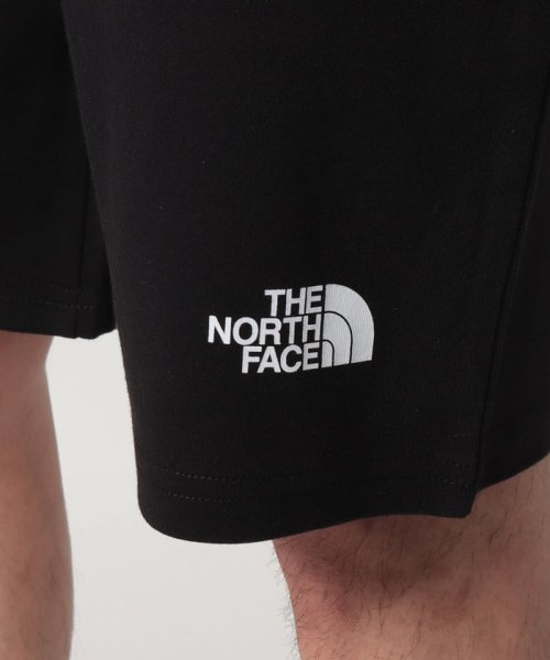 THE NORTH FACE(ザノースフェイス)/【THE NORTH FACE / ザ・ノースフェイス】GRAPHIC SHORT LIGHT ハーフパンツ ショートパンツ 半パン 3S4F/img21