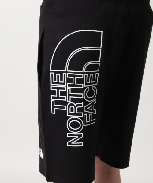 THE NORTH FACE(ザノースフェイス)/【THE NORTH FACE / ザ・ノースフェイス】GRAPHIC SHORT LIGHT ハーフパンツ ショートパンツ 半パン 3S4F/img22