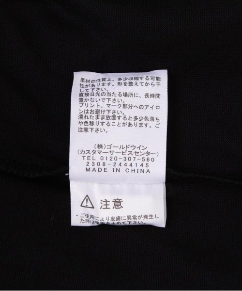 LHP(エルエイチピー)/THE NORTH FACE/ザ・ノースフェイス/S/S Small Box Logo Tee/img10