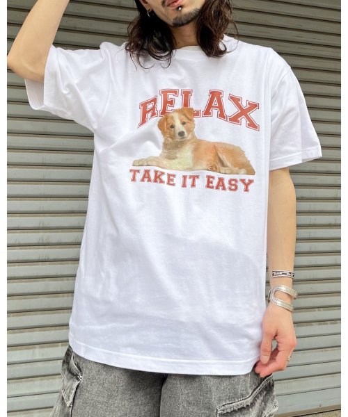 MODISH GAZE(モディッシュ ガゼ)/RELAX シートプリントTシャツ/img03
