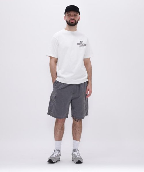 AVIREX(AVIREX)/PIGMENT 2TUCK CARGO SHORT PANTS / ピグメント ２タック カーゴ /img10