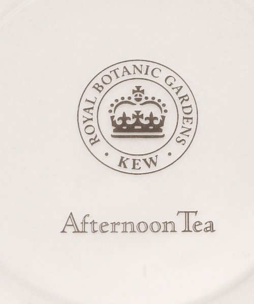 Afternoon Tea LIVING(アフタヌーンティー・リビング)/耐熱ガラスカップ&ソーサー/Kew Gardens/img06