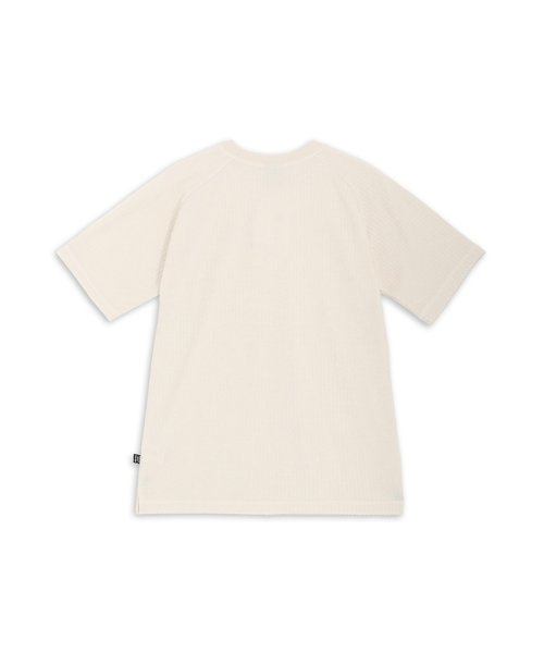 PUMA(PUMA)/メンズ サマーパック パイル Tシャツ/img02