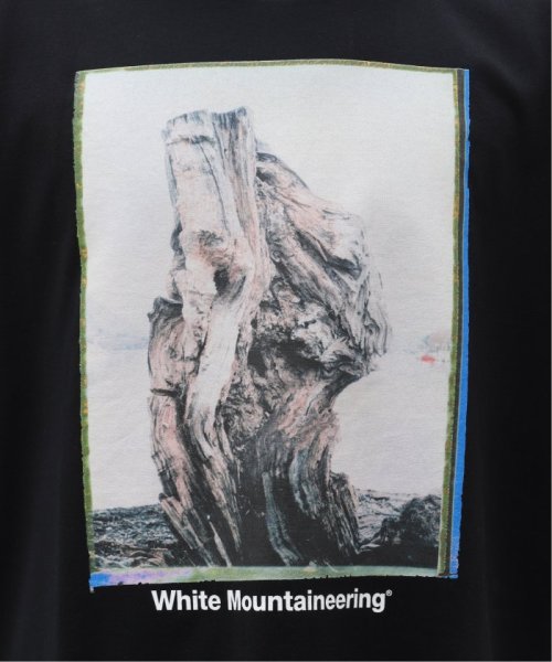 EDIFICE(エディフィス)/【White Mountaineering】WANAKA PHOTO T－SHIRT WM2471529/img10