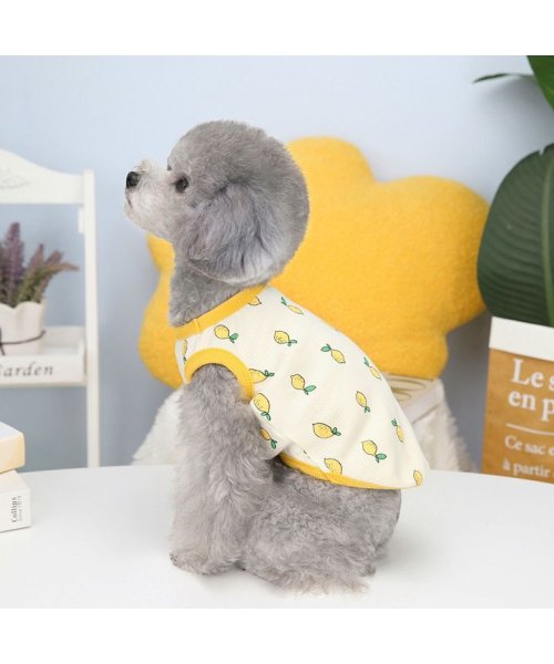 HAPPY DOG!!(はっぴーDOG！！)/犬 服 犬服 いぬ 犬の服 着せやすい タンクトップ 袖なし ノースリーブ レモン柄 フルーツ柄/img07