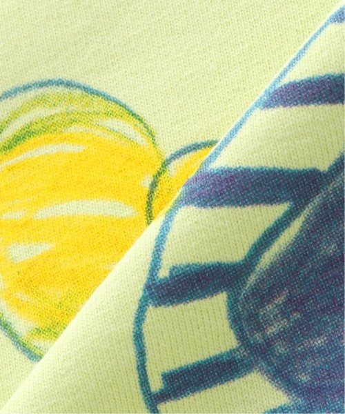 JOINT WORKS(ジョイントワークス)/GENTLEFULLNESS Tee － Pistachio Dragonfly GSS24TSGTSCOTPDF/img11