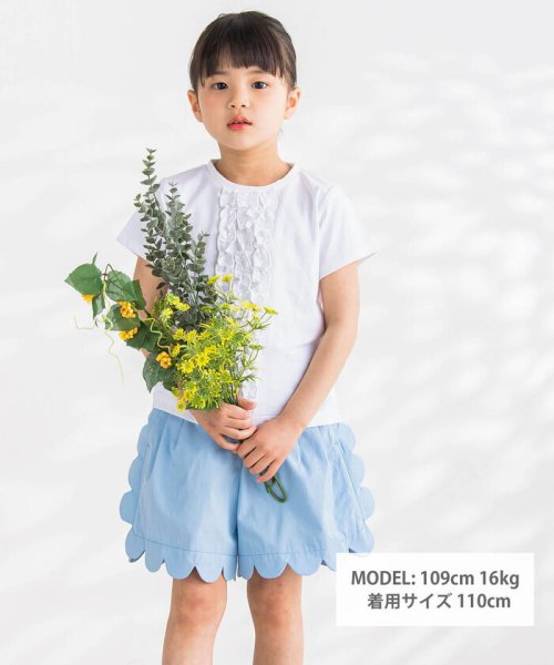 BeBe Petits Pois Vert(ベベ プチ ポワ ヴェール)/縦フリル入りトップス(95~150cm)/img01