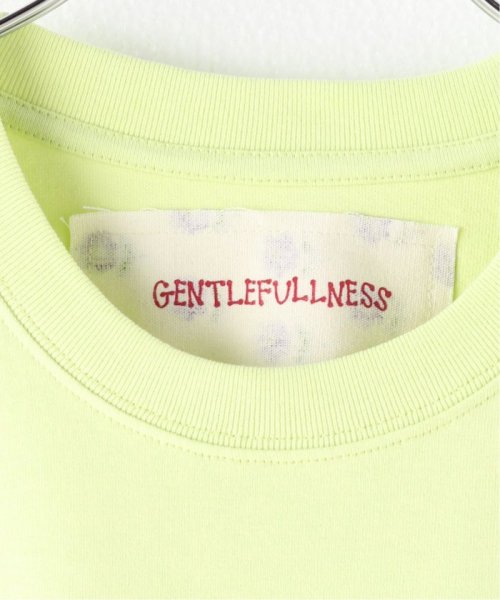 JOINT WORKS(ジョイントワークス)/GENTLEFULLNESS Tee － Pistachio Dragonfly GSS24TSGTSCOTPDF/img21