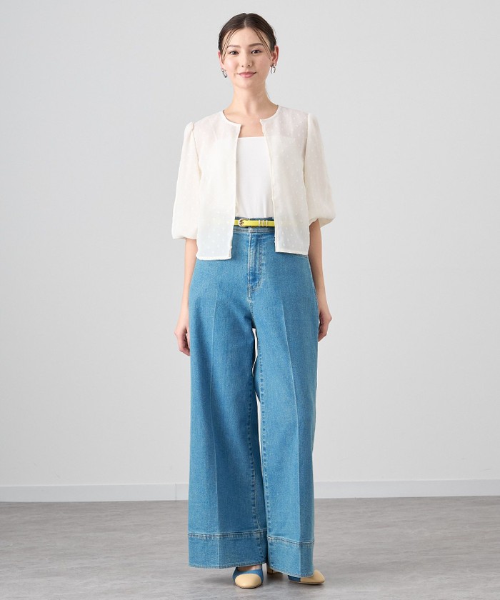 未使用級✨アナイ　24SS　コットンボイルシアーブルゾン　ブラック　34 セール】 コットンボイルシアーブルゾン （ブルゾン）｜ANAYI