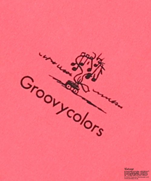 GROOVY COLORS(グルービーカラーズ)/SNOOPY ROLLERSKATE テントTシャツ/img09