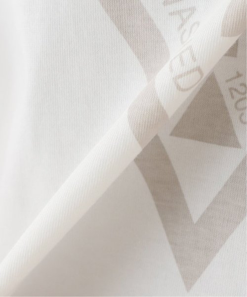 JOINT WORKS(ジョイントワークス)/【GUESS/ゲス】 VINTAGE TRIANGLE TEE/img28
