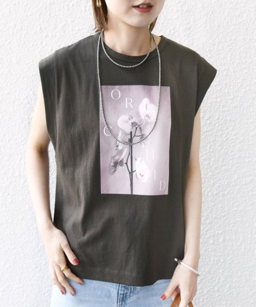 SHIPS WOMEN(シップス　ウィメン)/*【SHIPS別注】81BRANCA:ノースリーブ シアー フォト TEE ◇/img17