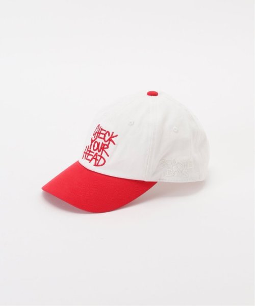 JOURNAL STANDARD(ジャーナルスタンダード)/BEASTIE BOYS / ビースティ・ボーイズ 別注 TWO TONE CAP/img13