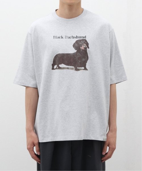 B.C STOCK(ベーセーストック)/DOG＆CAT ASOORTED Tシャツ/img01