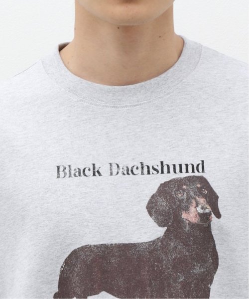 B.C STOCK(ベーセーストック)/DOG＆CAT ASOORTED Tシャツ/img06