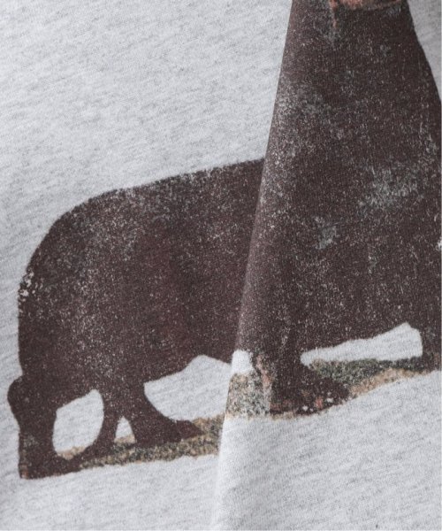 B.C STOCK(ベーセーストック)/DOG＆CAT ASOORTED Tシャツ/img15