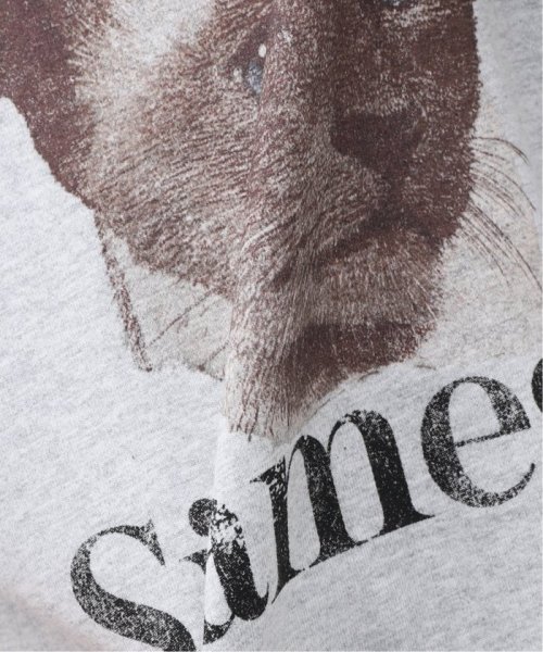B.C STOCK(ベーセーストック)/DOG＆CAT ASOORTED Tシャツ/img17
