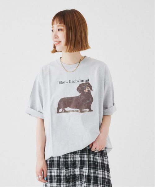 B.C STOCK(ベーセーストック)/DOG＆CAT ASOORTED Tシャツ/img21