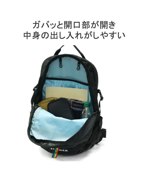 CHUMS(チャムス)/【日本正規品】チャムス リュック CHUMS バックパック デイパック A4 2WAY ウエストバッグ Spring Dale 25L CH60－3548/img06