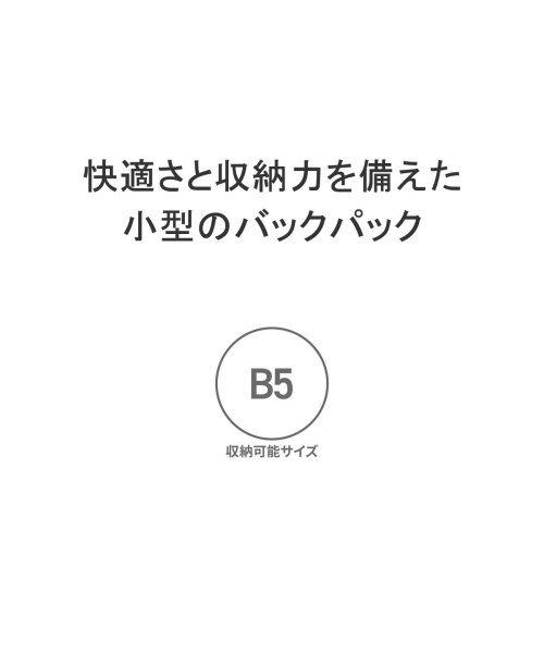 MILLET(ミレー)/日本正規品 ミレー リュック 軽量 MILLET リュックサック 小さめ ナイロン バックパック デイパック 14L B5 プラロ NX 14 MIS0762/img03