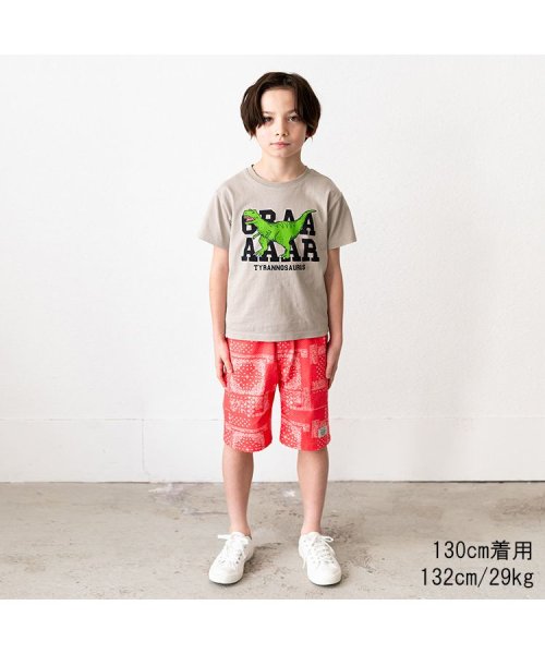 Crescent(クレセント)/【子供服】 crescent (クレセント) 恐竜プリント半袖Tシャツ 80cm～130cm N32817/img06