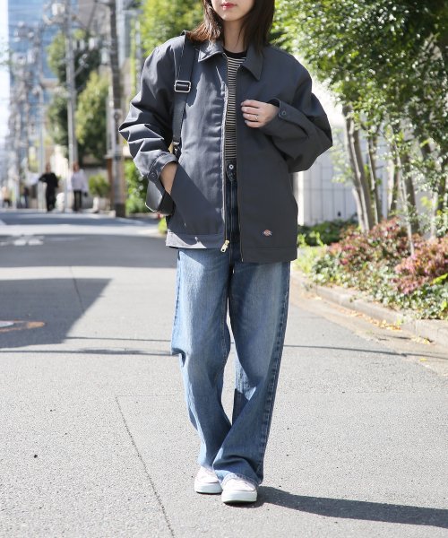 Dickies(Dickies)/【Dickies / ディッキーズ】JACKET FQ　ブルゾン アウター ブルゾン ジップ 長袖 ポケット ステンカラー TJ15/img08