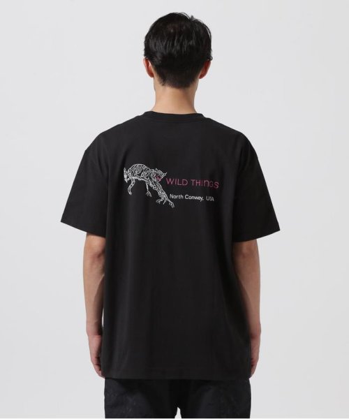 BEAVER(ビーバー)/WILDTHINGS/ワイルドシングス　WILD CAT S/S TEE ワイルドキャットＴシャツ/img05