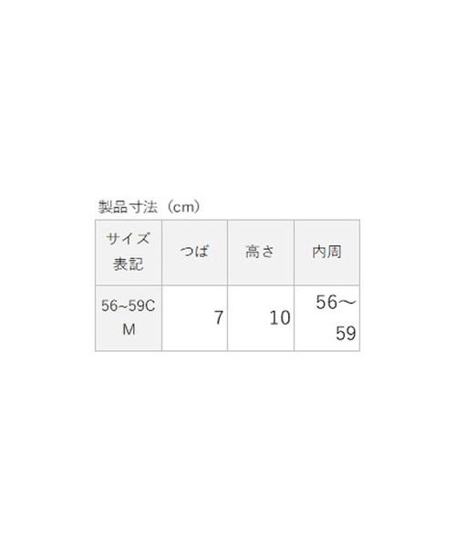 sanideiz TOKYO(サニデイズ トウキョウ)/コットンツイル ロゴ８パネルキャップ/img10