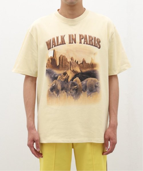 417 EDIFICE(フォーワンセブン　エディフィス)/WALK in PARIS / ウォークインパリス Le T－shirt Yellowstone/img02