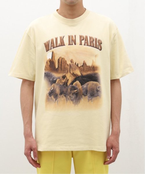 417 EDIFICE(フォーワンセブン　エディフィス)/WALK in PARIS / ウォークインパリス Le T－shirt Yellowstone/img04