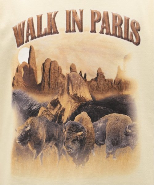 417 EDIFICE(フォーワンセブン　エディフィス)/WALK in PARIS / ウォークインパリス Le T－shirt Yellowstone/img11