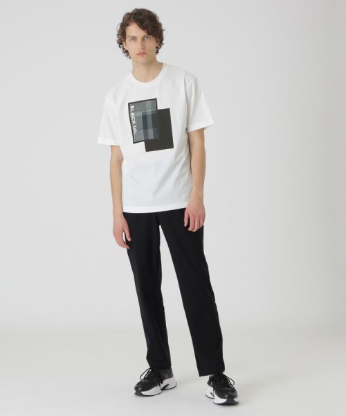 【BLACK lab.】テクニカルボックスグラフィックTシャツ 【BLACK lab.】テクニカルボックスグラフィックTシャツ HOV1405859472(10725円)