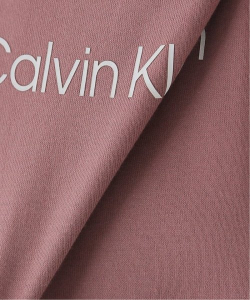 JOINT WORKS(ジョイントワークス)/【Calvin Klein / カルバン クライン】US SS STANDARD LOGO TEE/img35