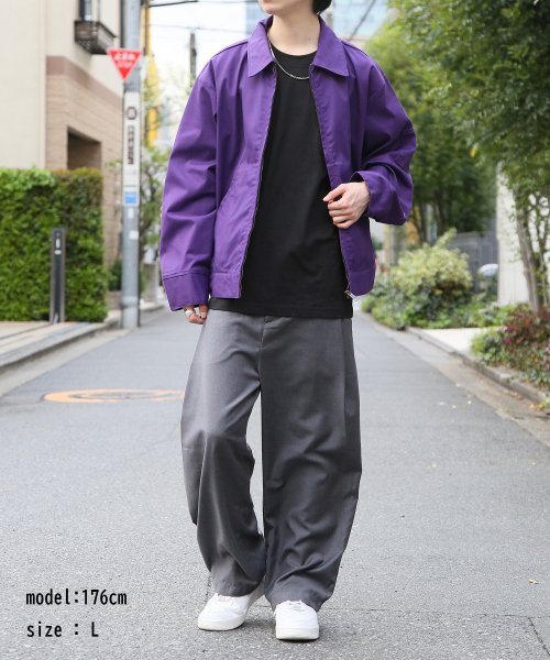 Dickies(Dickies)/【Dickies / ディッキーズ】 T/C/PUツイルFZIPブルゾン アウター ブルゾン ジップ 長袖 ポケット ステンカラー 3178－4130/img21