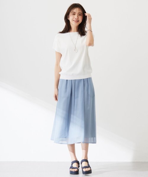 J.PRESS LADIES（LARGE SIZE）(J．プレス　レディス（大きいサイズ）)/【洗える】レーヨンエリートストレッチ フレンチスリーブ ニット/img08