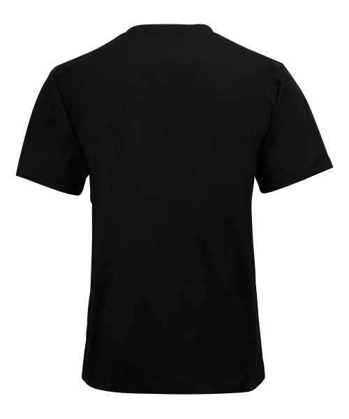phenix(phenix)/phenix outdoor(フェニックスアウトドア) ダウラギリTシャツ メンズ Tシャツ 速乾 ストレッチ 日焼け防止 快適 抗菌 防臭 ティーシャツ イン/img02
