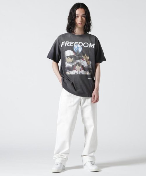 RoyalFlash(ロイヤルフラッシュ)/SAINT MICHAEL/セント マイケル/FD_SS TEE/FREEDOM/BLACK/img11