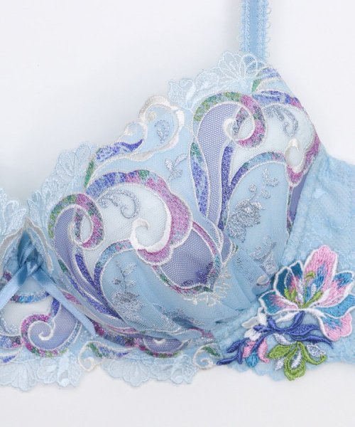 シトリン ブラジャー 人気・おすすめ｜使いやすい・旅行におすすめ 品質保証 全国発送 日本国内発送・最短翌日お届け