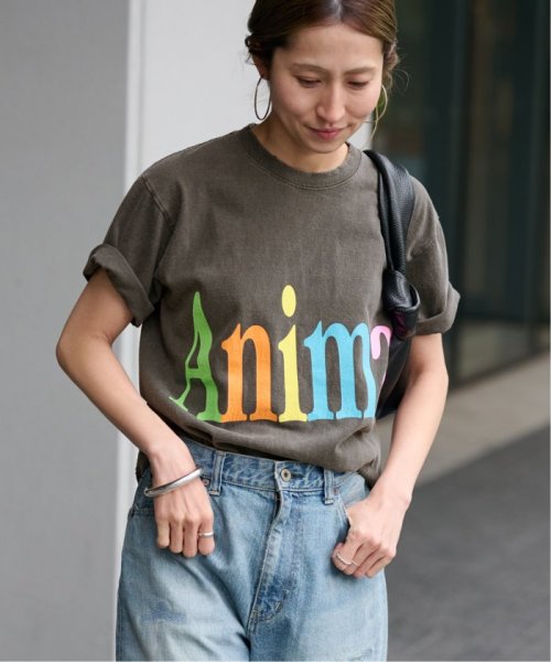 FRAMeWORK(フレームワーク)/≪予約≫STUDIO WEAREALLANIMALS Animals Letter Tシャツ/img05