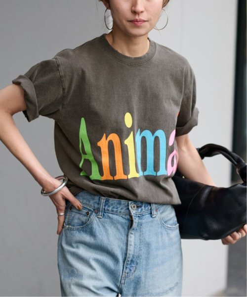 FRAMeWORK(フレームワーク)/≪予約≫STUDIO WEAREALLANIMALS Animals Letter Tシャツ/img06