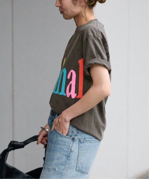 FRAMeWORK(フレームワーク)/≪予約≫STUDIO WEAREALLANIMALS Animals Letter Tシャツ/img07