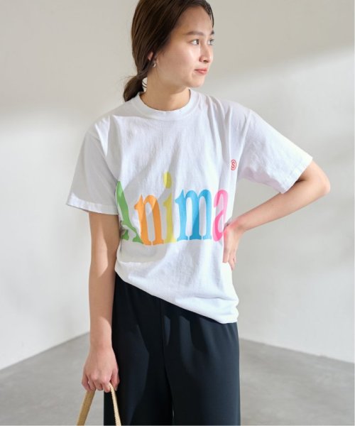 FRAMeWORK(フレームワーク)/≪予約≫STUDIO WEAREALLANIMALS Animals Letter Tシャツ/img16