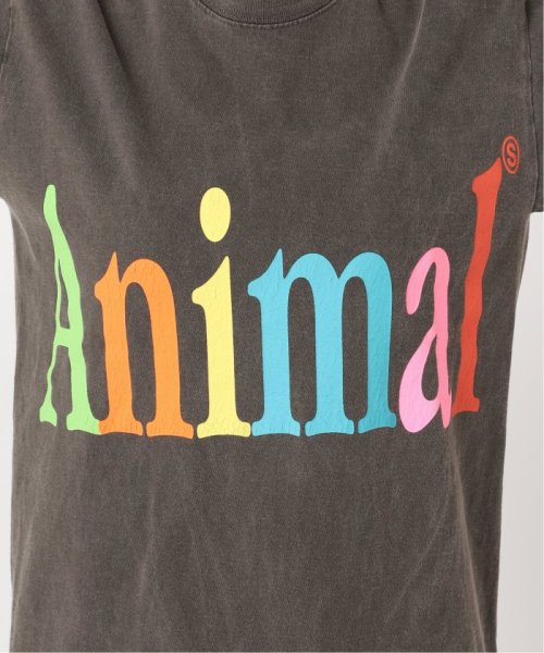 FRAMeWORK(フレームワーク)/STUDIO WEAREALLANIMALS Animals Letter Tシャツ/img28