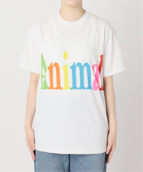 FRAMeWORK(フレームワーク)/≪予約≫STUDIO WEAREALLANIMALS Animals Letter Tシャツ/img32